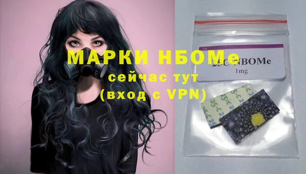 тгк Каменка