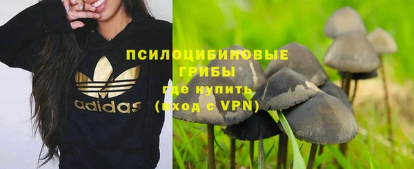тгк Каменка