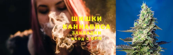 тгк Каменка