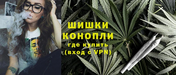 тгк Каменка