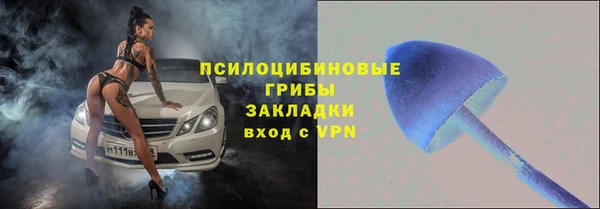 тгк Каменка