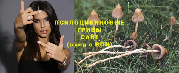 прущие грибы Инсар