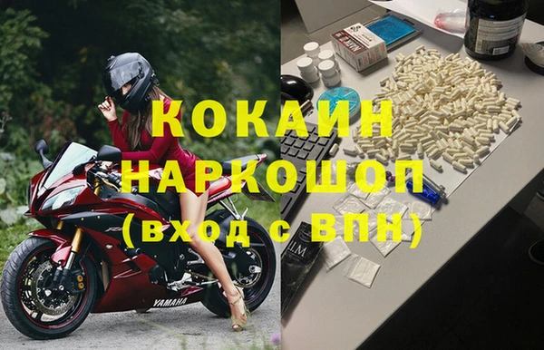 тгк Каменка