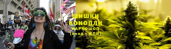 тгк Каменка