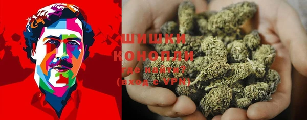 не бодяженный Каменногорск