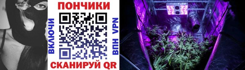 Купить закладки  Богородск  Конопля ГИДРОПОН 